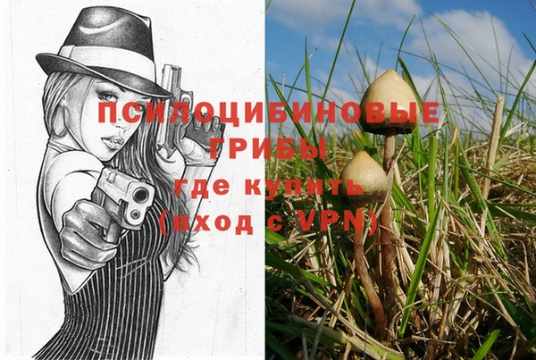2c-b Зеленодольск