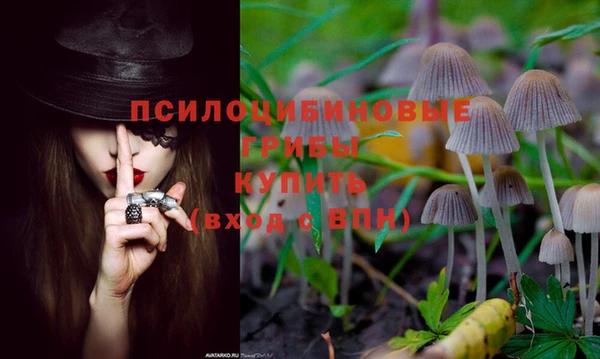 кокаин Инта